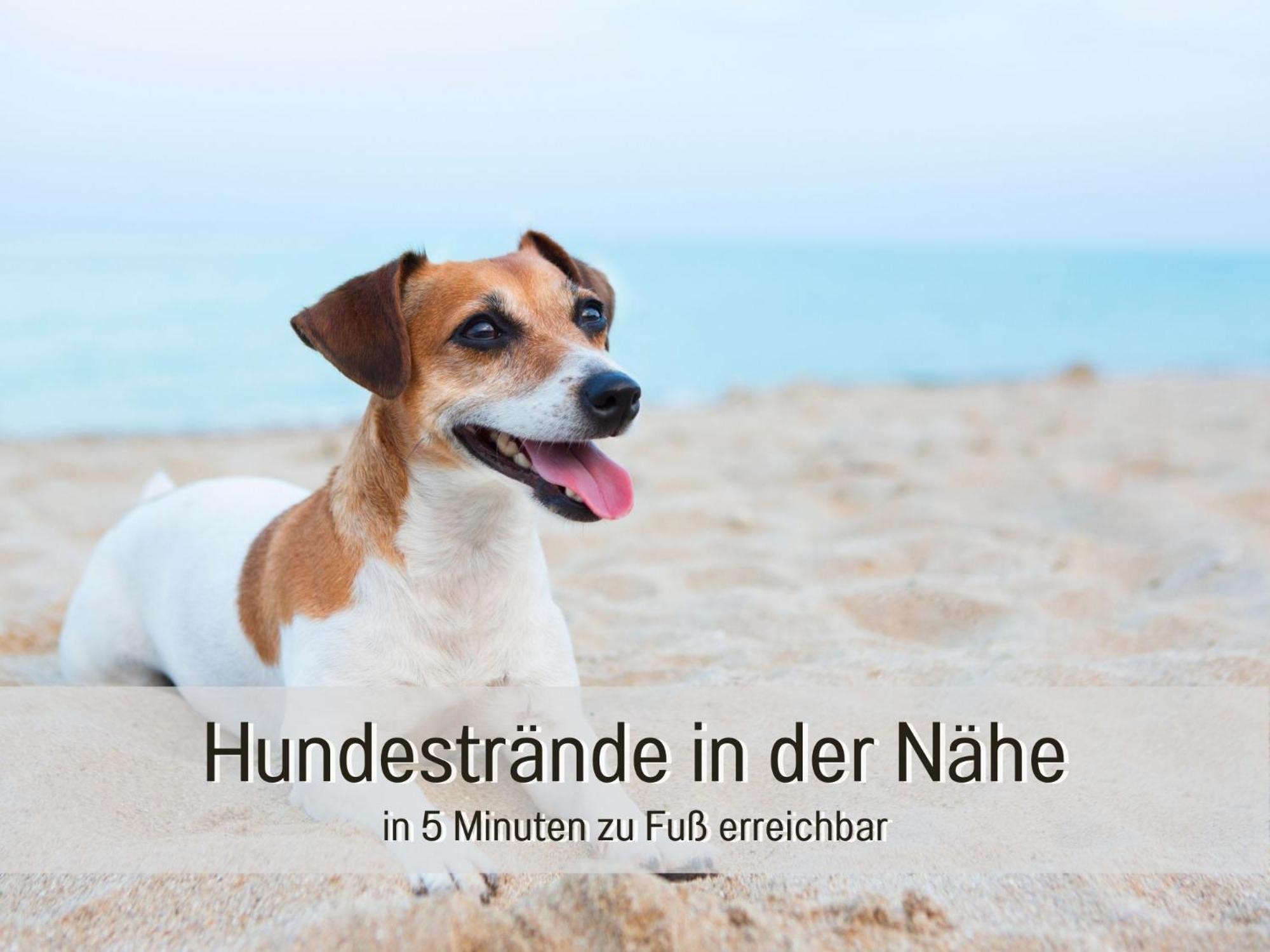 Nause - Meerblick&spa