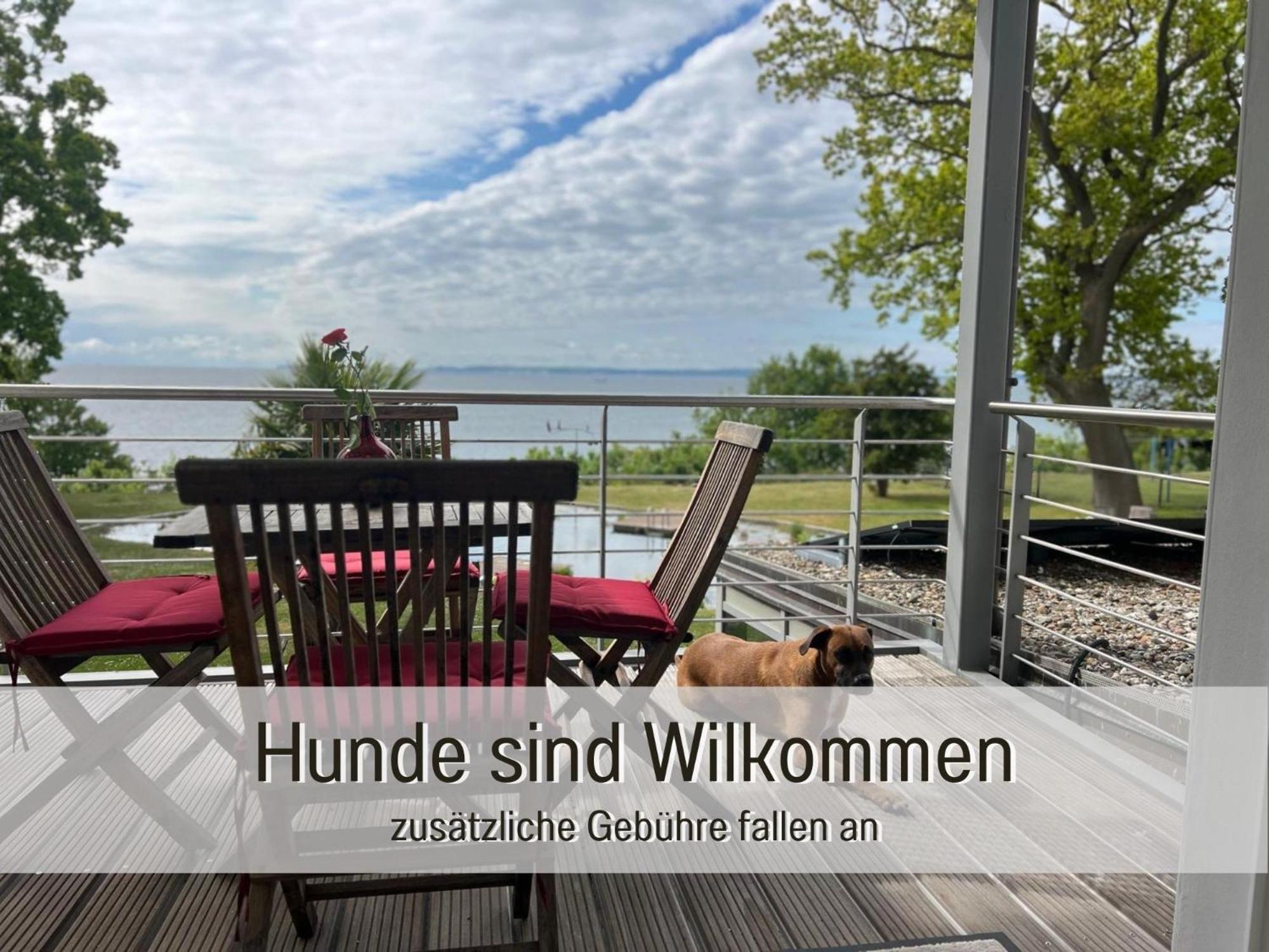 Appartmenthaus, Nause Mit Sauna Und Meerblick - Apartment *